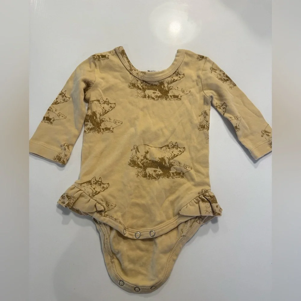 kate quinn baby girl bodysuit set of 4  Size 12-18months